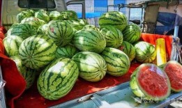 西安网红吃瓜事件真相,真相背后的网络狂欢与反思