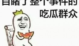 爆料吃瓜群众视频大全,一场全民参与的娱乐盛宴