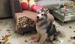 阿拉最新爆料是真的吗,真相揭秘，是真是假？