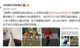 加拿大博主爆料新闻视频,视频揭秘事件真相