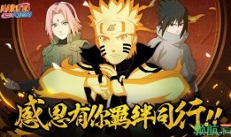 晚安火影爆料视频大全最新,揭秘最新爆料视频大全，精彩瞬间一网打尽！