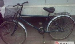 郑州自行车爆料最新消息,揭秘行业变革背后的秘密