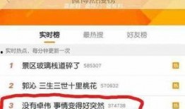 卓伟爆料何炅林更新视频,何炅林更新神秘视频引发热议