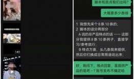 爆料短视频素材电影,爆款素材背后的秘密