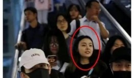夜斗女友爆料视频大全集,揭秘明星私生活幕后真相