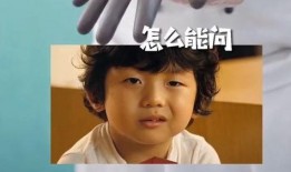 马伯骞八卦爆料视频大全,揭秘娱乐圈幕后真相