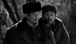 村戏电影在线观看,揭秘乡村文化魅力的光影之旅