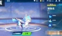 飞车最新爆料宠物