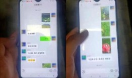 微信可以免费吃瓜的群,加入微信“瓜田”群，共享欢乐时光