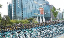 郑州自行车爆料最新消息,揭秘行业变革背后的秘密