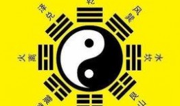 八卦爆料素材网站大全视频,热门视频素材一网打尽