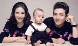 新疆百克力爆料新闻,揭秘新闻背后的真相与内幕