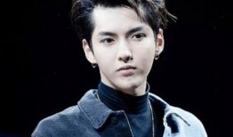 吴亦凡最新消息爆料,涉嫌违法行为，娱乐圈再掀波澜