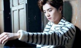 鹿晗娱料爆料事件视频,真相与谣言的较量