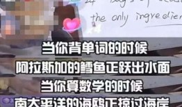 徐盼爆料董宇辉视频,揭秘背后惊人内幕