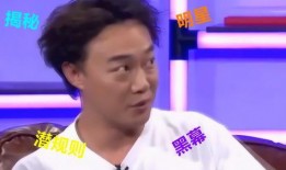 娱乐圈八卦爆料人有哪些人,揭秘幕后真相的神秘推手