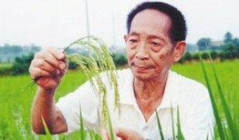 袁隆平媒体爆料视频大全,揭秘农业科技巨擘的智慧与贡献