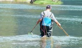 东风水库爆料视频,视频爆料揭示惊人真相