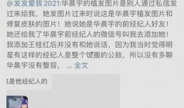 锤子娱乐爆料视频,最新爆料视频内容大起底