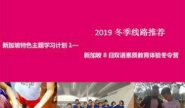 新加坡留学爆料事件视频,揭秘校园生活真相与争议