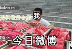 最新吃瓜爆料合集,揭秘明星幕后故事