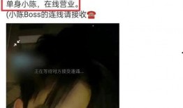 夜斗女友爆料视频大全集,揭秘明星私生活幕后真相