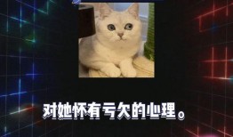 快乐吃瓜娱乐,揭秘娱乐圈幕后故事