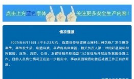 湖南工厂爆料视频最新版,揭秘生产线背后的真相