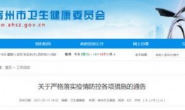 宿州头条最新爆料,重大事件背后真相揭晓！