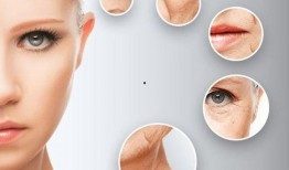 蛋仔纤维皮肤最新爆料,神秘纤维力量揭示