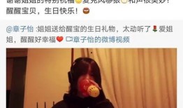 大丫头辟谷爆料视频大全,视频大全深度解析