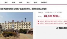 景县一中爆料新闻事件视频