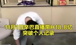 爆料辛巴视频,揭秘背后惊人真相