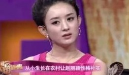 刘一飞爆料赵丽颖新的视频,刘一飞独家爆料引网友热议