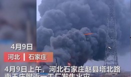 湖南工厂爆料视频最新版,揭秘生产线背后的真相