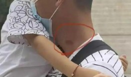 樊小慧爆料老公视频,真相背后引人深思