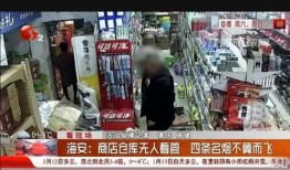 海安超市爆料事件真相视频,揭秘真相背后的惊人内幕