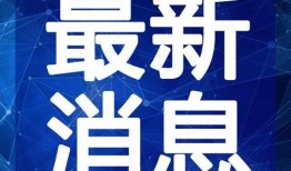 陈哥武汉爆料视频大全最新,揭秘武汉最新动态与热点事件
