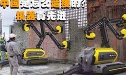 端游飞车最新宠物爆料,神秘宠物助力速度与激情