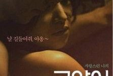 猫女孩 韩国在线观看,韩国热门剧集在线观看指南