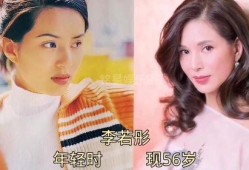 娱乐圈大爆料最新的小说,揭秘明星背后的秘密与真相