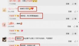 娱乐圈吃瓜爆料微信,揭秘明星背后的秘密与真相