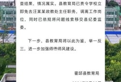德爱中学爆料视频最新消息,揭秘校园内幕，真相令人震惊！
