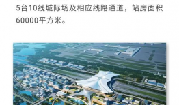 东坑新闻爆料最新情况查询,事件进展及影响全解析