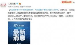 法国卫生部最新爆料,疫情真相与防控策略大揭秘