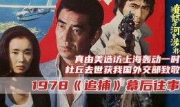 追捕1978在线观看,正义与邪恶的较量