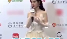 小雪黑粉爆料视频大全,视频大全深度解析