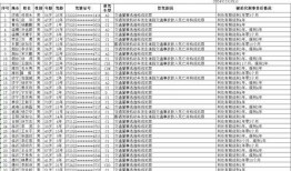 最新爆料工厂名单公布时间,工厂名单公布时间揭晓，揭秘行业动态