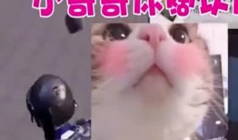 刺激战场搞笑爆料视频,搞笑爆料视频，笑料百出，笑翻全场！