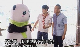 yoyo吃瓜娱乐,揭秘娱乐圈幕后故事